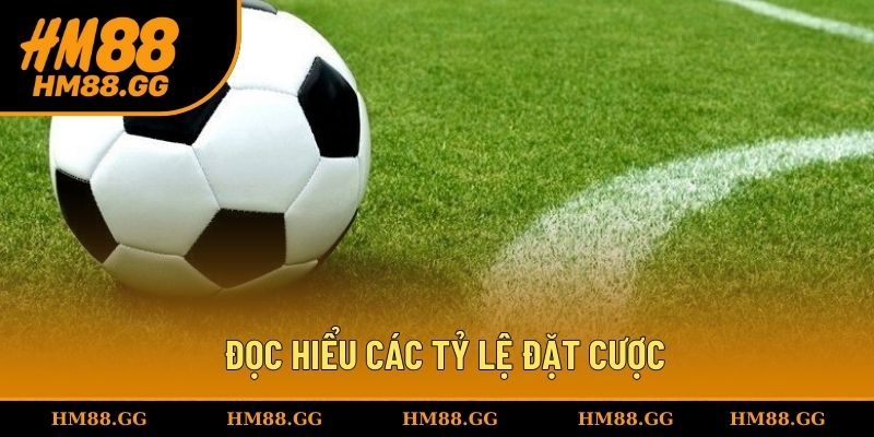 Đọc hiểu các tỷ lệ giúp bạn đặt cược dễ dàng