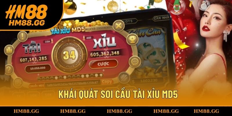 Khái quát đôi nét về soi cầu tài xỉu MD5