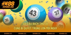 Soi cầu bạch thủ lô