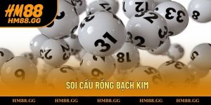 Soi cầu rồng bạch kim