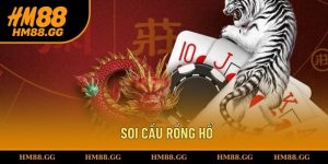 Soi cầu rồng hổ