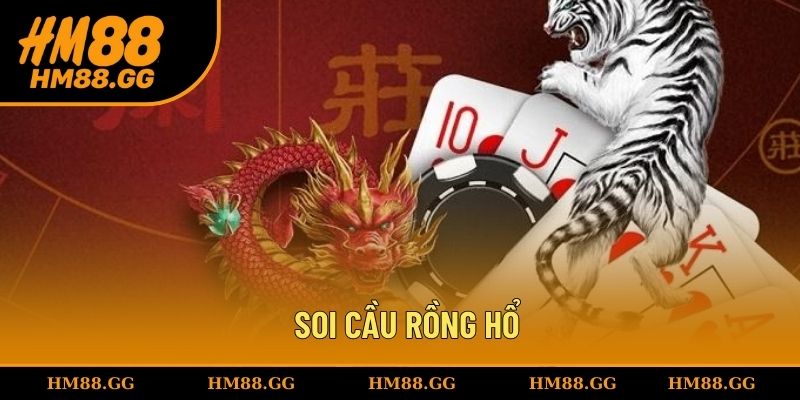 Soi cầu rồng hổ