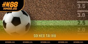 Soi kèo tài xỉu